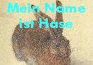 Pseudonym