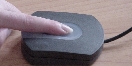 Fingerscan