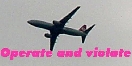 operate and violate