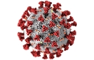 Corona-Virus CDC Alissa Eckert, MS, Dan Higgins, MAMS