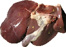 Leber - Schaf
