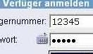 Fake Login